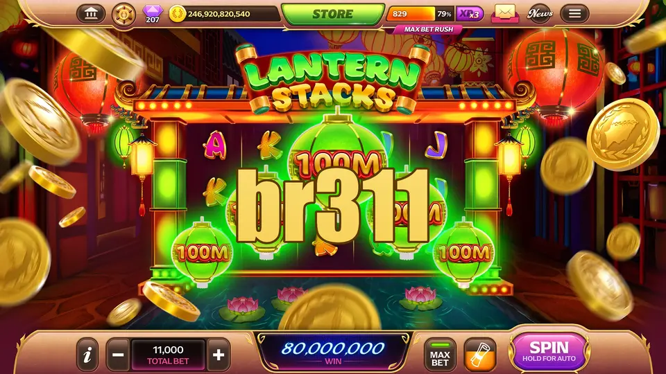 br311 Login